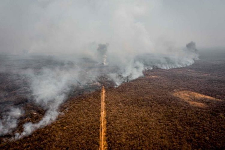 Imagen aérea de los incendios forestales en la Chiquitaníe en 2019. Foto: Daniel Coimbra