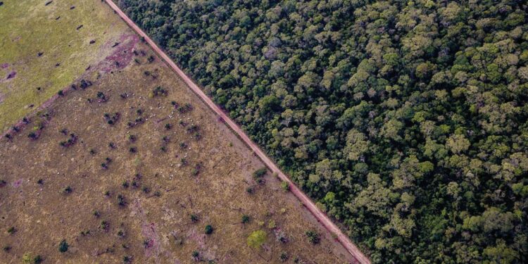 Vista aérea de la fragmentación y degradación de la cobertura natural del bosque seco chiquitano. Foto: FCBC