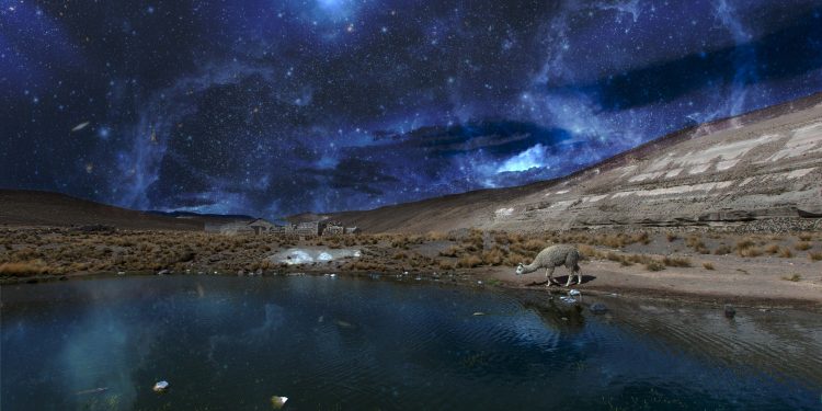 Una llama bebe agua de un lago durante la noche, debajo de un cielo estrellado