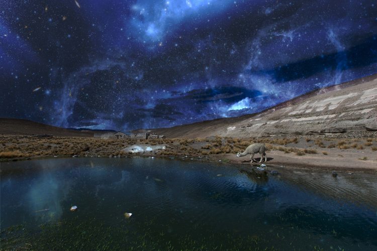 Una llama bebe agua de un lago durante la noche, debajo de un cielo estrellado