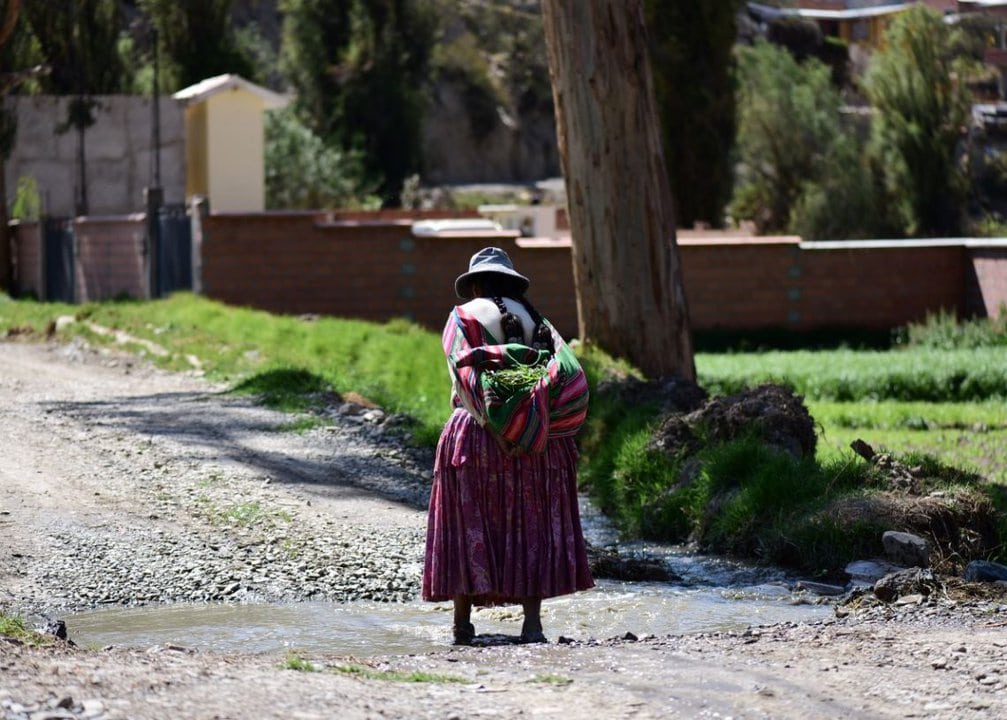 Una agricultora en Mecapaca camina de espaldas por un caminito atravesado por un charco de agua.