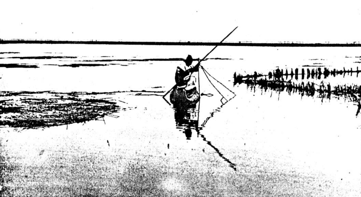Foto antigua de un uru chipaya navegando y pescando. 