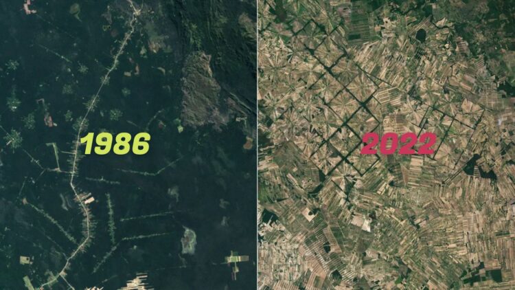Imagen satelital sobre el cambio de uso de suelos en Santa Cruz, producto de la expansión de la frontera agrícola, especialmente para la producción de soya en Bolivia.