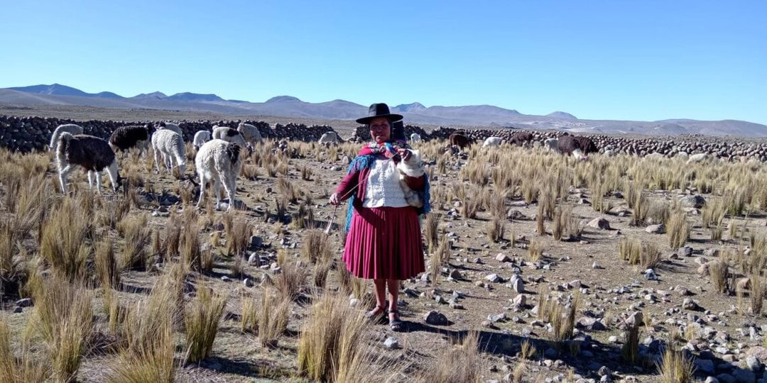 Una mujer quechua de Potosí, Bolivia, en medio de un paisaje árido y con espinos.