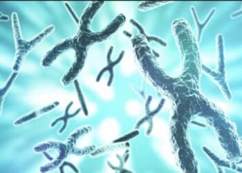 Imagen de los cromosomas que definen el sexo de una persona