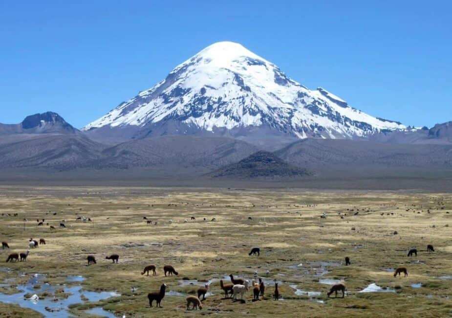 Imagen del Parque Nacional Sajama a modo de ilustrar el artículo sobre los desafíos COP16 de Bolivia