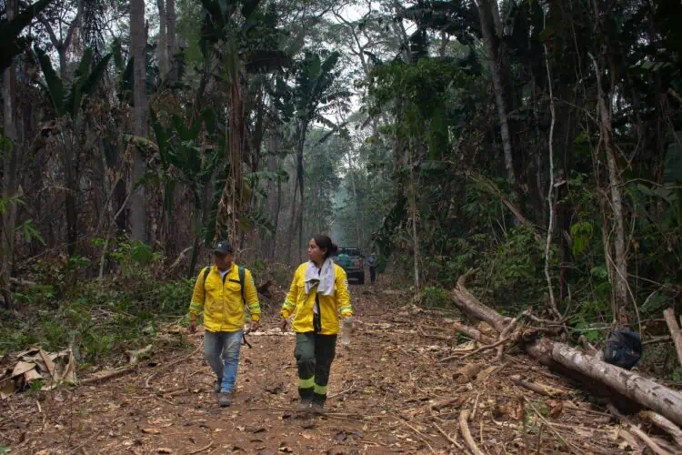 Una bombera mujer y un bombero varón caminan en medio de una senda en una zona amenazada por los incendios en el departamento de Santa Cruz, Bolivia.