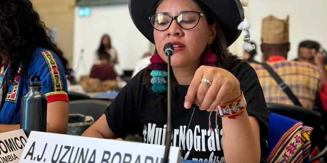 La activista potosina Angela Uzuna Bobarín en un programa de la ONU denunciando machismo indígena e institucional.